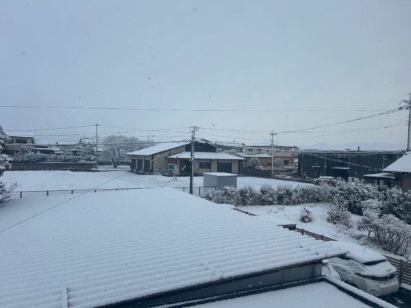 新年明けました。の画像