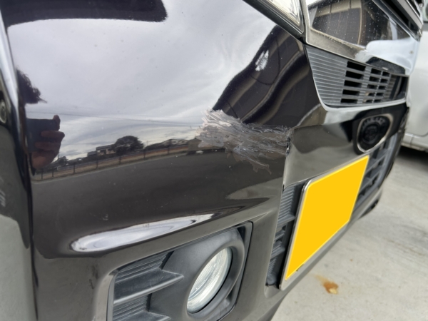 オールシーズンな車へ。の画像