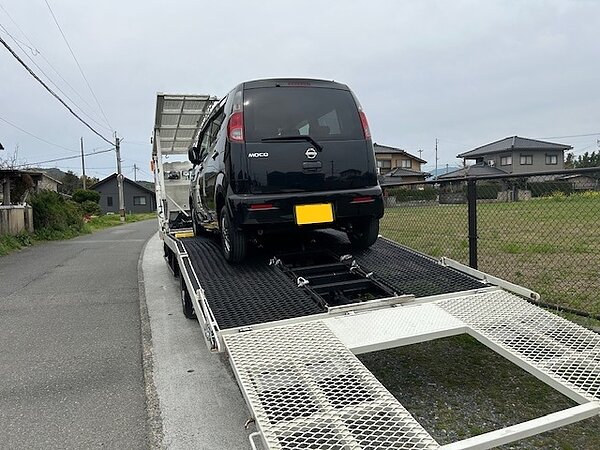 揺られながら届いたモコ。の画像