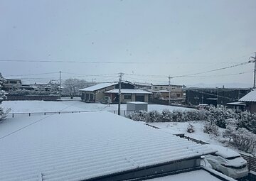 新年明けました。のイメージ